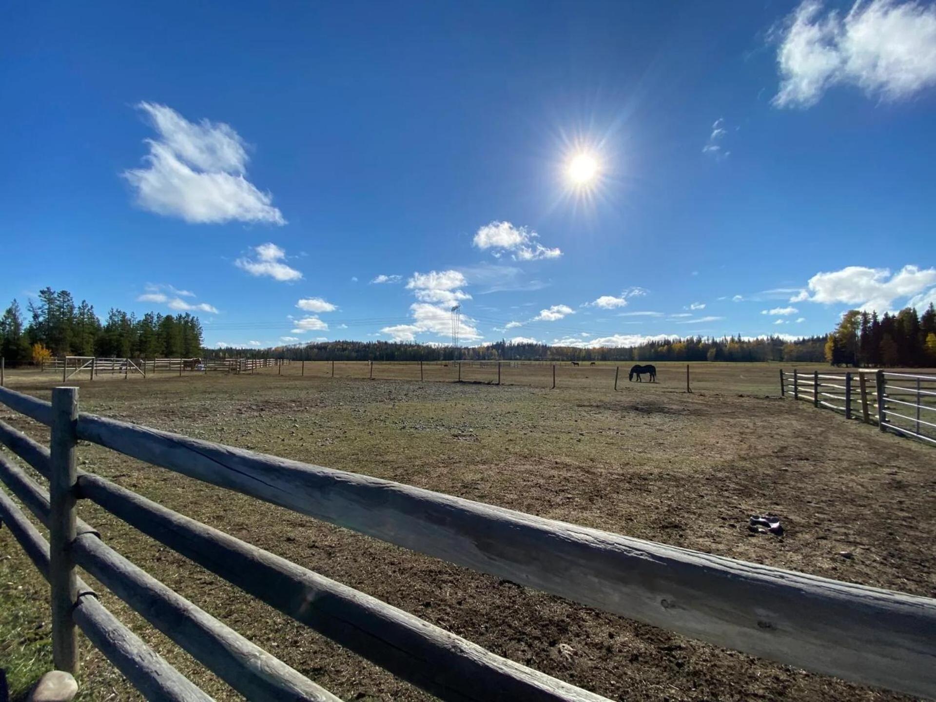 Woodhouse Cottages And Ranch 乔治王子城 外观 照片